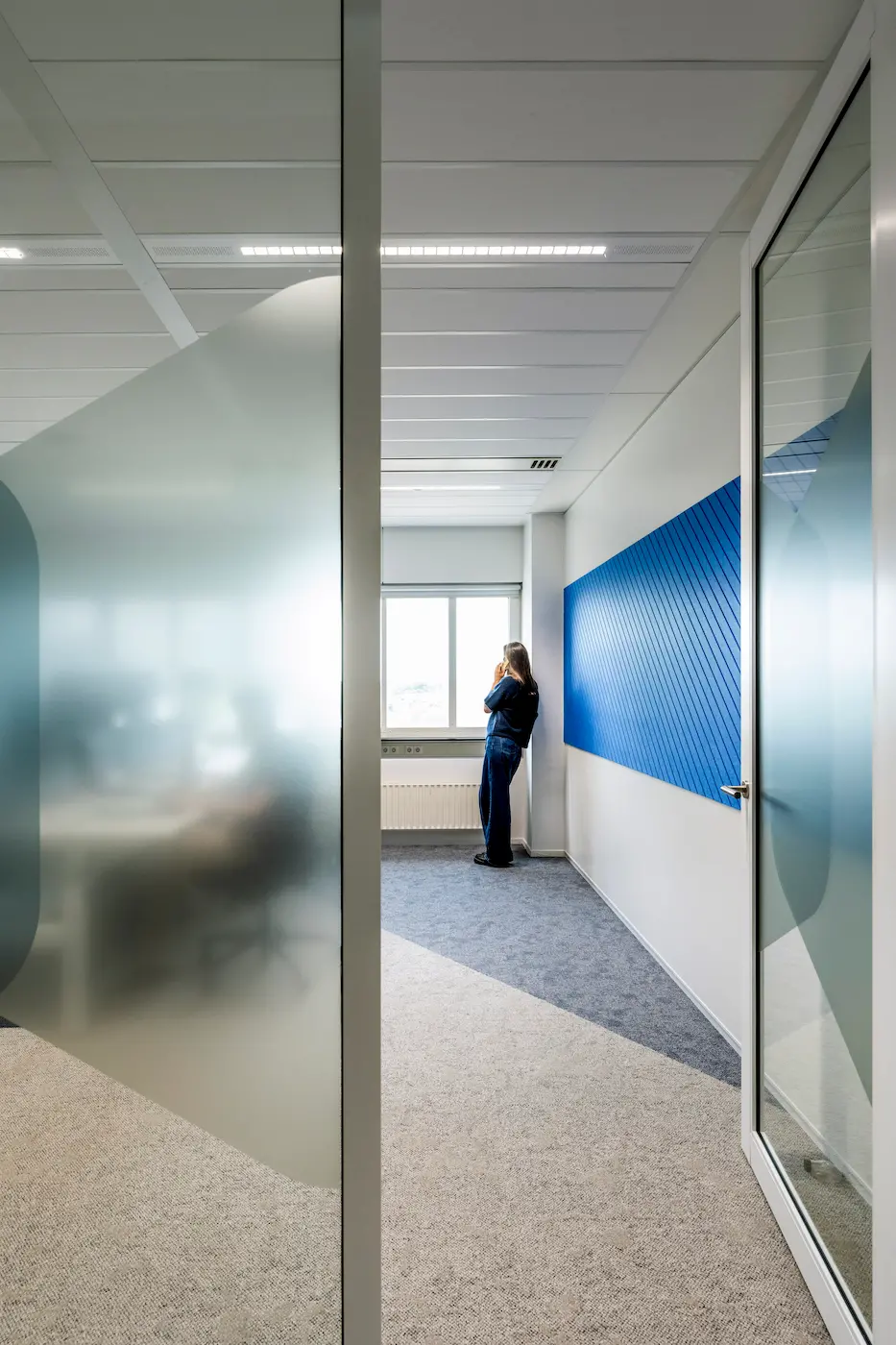 petfelt akoestiek verbeteren kantoor